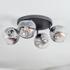 Ripoll Plafonnier, Boule lumineuse Clair, Fumé, 4 lumières