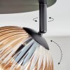 Koyoto Plafonnier, Boule lumineuse Ambre, Clair, 4 lumières