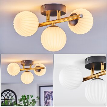 Chehalis Plafonnier, Boule lumineuse Or, Noir, 3 lumières