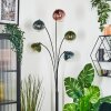 Gastor Boule lumineuse, Lampadaire Bleu, Vert, Clair, Cuivré, 5 lumières