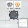 Gastor Plafonnier, Boule lumineuse Ambre, Clair, Fumé, 4 lumières