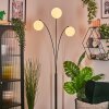 Gastor Boule lumineuse, Lampadaire Blanc, 3 lumières