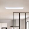 Milton Panel Luminaires Brilliant LED Blanc, 1 lumière