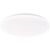 Troba Plafonnier Luminaires Brilliant LED Blanc, 1 lumière, Télécommandes