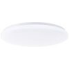 Troba Plafonnier Luminaires Brilliant LED Blanc, 1 lumière, Télécommandes