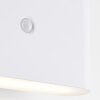 Xino Lampe murale d´extérieur Luminaires Brilliant LED Blanc, 1 lumière