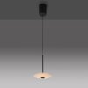 ELIPSA Suspension Luminaires Paul Neuhaus LED Noir, 1 lumière