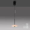 ELIPSA Suspension Luminaires Paul Neuhaus LED Noir, 1 lumière
