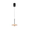 ELIPSA Suspension Luminaires Paul Neuhaus LED Noir, 1 lumière