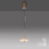 ELIPSA Suspension Luminaires Paul Neuhaus LED Bronze, 1 lumière