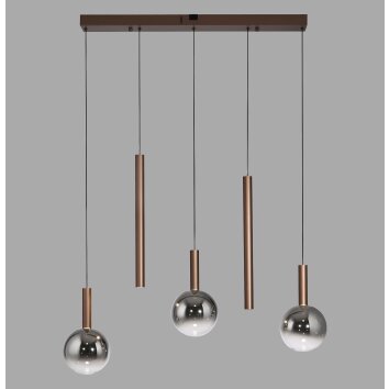 BOWL Suspension Luminaires Paul Neuhaus LED Brun, 5 lumières