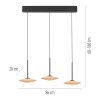 ELIPSA Suspension Luminaires Paul Neuhaus LED Noir, 3 lumières