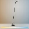 BENTE Lampadaire Luminaires Paul Neuhaus LED Noir, 1 lumière