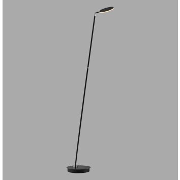 BENTE Lampadaire Luminaires Paul Neuhaus LED Noir, 1 lumière