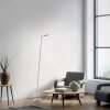 BENTE Lampadaire Luminaires Paul Neuhaus LED Argenté, 1 lumière