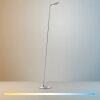 BENTE Lampadaire Luminaires Paul Neuhaus LED Argenté, 1 lumière