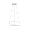 CONTURA Suspension Luminaires Paul Neuhaus LED Blanc, 2 lumières