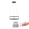 CONNI Suspension Luminaires Paul Neuhaus LED Noir, 2 lumières