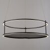 CONNI Suspension Luminaires Paul Neuhaus LED Noir, 2 lumières