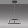 CONTURA Suspension Luminaires Paul Neuhaus LED Noir, 2 lumières