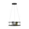 CONTURA Suspension Luminaires Paul Neuhaus LED Noir, 2 lumières