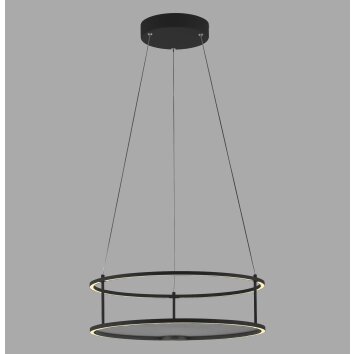 CONTURA Suspension Luminaires Paul Neuhaus LED Noir, 2 lumières