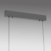 Lift Suspension Luminaires Paul Neuhaus LED Anthracite, 3 lumières