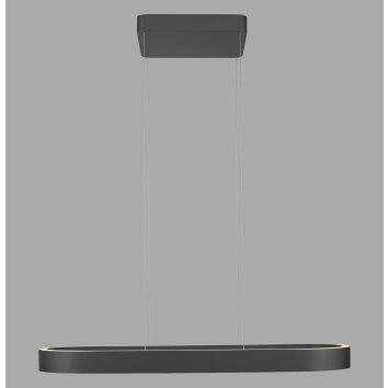 Q-STRETTO Suspension Paul Neuhaus Q-Serie LED Noir, 2 lumières, Télécommandes