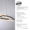 TWIST Suspension Luminaires Paul Neuhaus LED Noir, 1 lumière