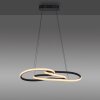 TWIST Suspension Luminaires Paul Neuhaus LED Noir, 1 lumière