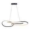 TWIST Suspension Luminaires Paul Neuhaus LED Noir, 1 lumière