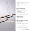 TWIST Suspension Luminaires Paul Neuhaus LED Noir, 1 lumière
