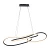 TWIST Suspension Luminaires Paul Neuhaus LED Noir, 1 lumière