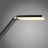 SAMSKY Lampadaire Luminaires Paul Neuhaus LED Gris, 1 lumière
