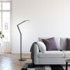 SAMSKY Lampadaire Luminaires Paul Neuhaus LED Gris, 1 lumière