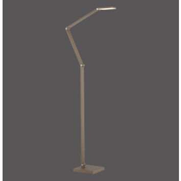 SAMSKY Lampadaire Luminaires Paul Neuhaus LED Bronze, 1 lumière