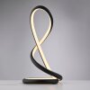 TWIST Lampe à poser Luminaires Paul Neuhaus LED Noir, 1 lumière