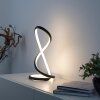TWIST Lampe à poser Luminaires Paul Neuhaus LED Noir, 1 lumière