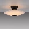 ELIPSA Plafonnier Luminaires Paul Neuhaus LED Noir, 1 lumière