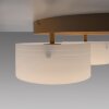 MARIKA Plafonnier Luminaires Paul Neuhaus LED Sable, 3 lumières