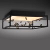 SKINA Plafonnier Luminaires Paul Neuhaus LED Noir, 1 lumière, Télécommandes
