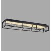 SKINA Plafonnier Luminaires Paul Neuhaus LED Noir, 1 lumière, Télécommandes