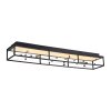 SKINA Plafonnier Luminaires Paul Neuhaus LED Noir, 1 lumière, Télécommandes