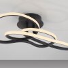TWIST Plafonnier Luminaires Paul Neuhaus LED Noir, 1 lumière