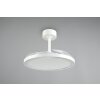 mit Ventilateur de plafond lumineux Luminaires Reality LED Blanc, 1 lumière, Télécommandes