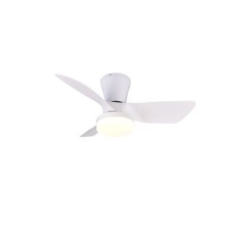 mit Ventilateur de plafond lumineux Luminaires Reality LED Blanc, 1 lumière, Télécommandes