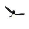 mit Ventilateur de plafond lumineux Luminaires Reality LED Noir, 1 lumière, Télécommandes