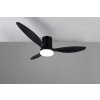 mit Ventilateur de plafond lumineux Luminaires Reality LED Noir, 1 lumière, Télécommandes