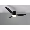 mit Ventilateur de plafond lumineux Luminaires Reality LED Noir, 1 lumière, Télécommandes