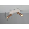 Ambala Spot de plafond Luminaires Trio LED Brun, 2 lumières